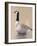 Lone Goose-Rusty Frentner-Framed Giclee Print