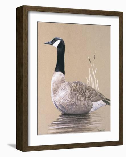 Lone Goose-Rusty Frentner-Framed Giclee Print