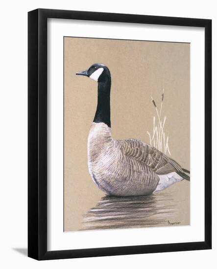 Lone Goose-Rusty Frentner-Framed Giclee Print