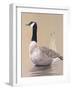 Lone Goose-Rusty Frentner-Framed Giclee Print