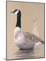 Lone Goose-Rusty Frentner-Mounted Giclee Print