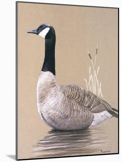 Lone Goose-Rusty Frentner-Mounted Giclee Print