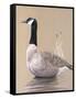 Lone Goose-Rusty Frentner-Framed Stretched Canvas