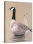 Lone Goose-Rusty Frentner-Stretched Canvas