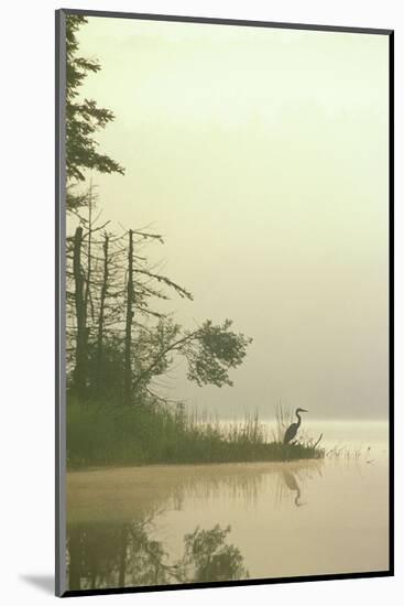 Lone Heron-Orah Moore-Mounted Art Print