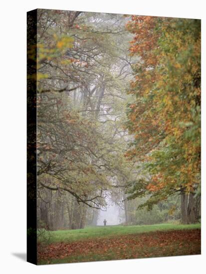 Lone Hiker in Champoeg State Park, Willamette Valley, Oregon, USA-Jaynes Gallery-Stretched Canvas