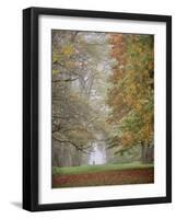 Lone Hiker in Champoeg State Park, Willamette Valley, Oregon, USA-Jaynes Gallery-Framed Photographic Print