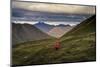 Lone hiker walks into Alaskan wilderness, Alaska, United States of America, North America-JIA JIAHE-Mounted Photographic Print