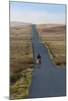 Lone Hunter, Caldbeck Fell Road, Back O'Skiddaw, Cumbria, England, United Kingdom, Europe-James-Mounted Photographic Print