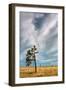 Lone Joshua Tree Landscape-Vincent James-Framed Photographic Print