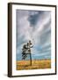 Lone Joshua Tree Landscape-Vincent James-Framed Photographic Print