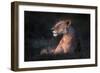 Lone Lioness-Xavier Ortega-Framed Photographic Print