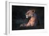 Lone Lioness-Xavier Ortega-Framed Photographic Print