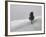 Lone Lodgepole Pine in the Snow-George Lepp-Framed Photographic Print