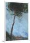 Lone Moorland Pine-Paul Bailey-Framed Art Print