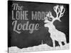 Lone Moose Lodge-null-Stretched Canvas