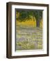 Lone Oak and Spring Wildflowers, San Luis Obispo County, California, USA-Terry Eggers-Framed Photographic Print