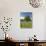 Lone Oak Standing in Field of Wildflowers with Tracks Leading by Tree, Texas Hill Country, Usa-Julie Eggers-Stretched Canvas displayed on a wall