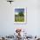 Lone Oak Standing in Field of Wildflowers with Tracks Leading by Tree, Texas Hill Country, Usa-Julie Eggers-Framed Photographic Print displayed on a wall