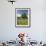 Lone Oak Standing in Field of Wildflowers with Tracks Leading by Tree, Texas Hill Country, Usa-Julie Eggers-Framed Photographic Print displayed on a wall