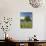 Lone Oak Standing in Field of Wildflowers with Tracks Leading by Tree, Texas Hill Country, Usa-Julie Eggers-Mounted Photographic Print displayed on a wall