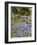 Lone Oak Tree Along Fence Line With Spring Bluebonnets, Texas, USA-Julie Eggers-Framed Premium Photographic Print