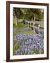 Lone Oak Tree Along Fence Line With Spring Bluebonnets, Texas, USA-Julie Eggers-Framed Photographic Print