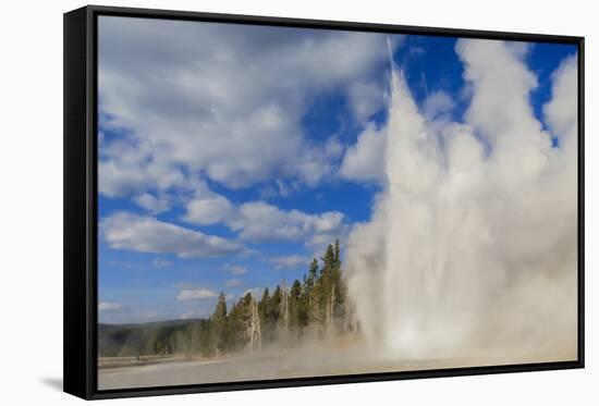 Lone Observer Watches Grand Geyser Erupt, Upper Geyser Basin, Yellowstone National Park-Eleanor Scriven-Framed Stretched Canvas