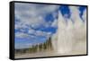 Lone Observer Watches Grand Geyser Erupt, Upper Geyser Basin, Yellowstone National Park-Eleanor Scriven-Framed Stretched Canvas