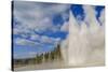 Lone Observer Watches Grand Geyser Erupt, Upper Geyser Basin, Yellowstone National Park-Eleanor Scriven-Stretched Canvas