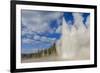 Lone Observer Watches Grand Geyser Erupt, Upper Geyser Basin, Yellowstone National Park-Eleanor Scriven-Framed Photographic Print