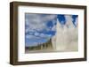 Lone Observer Watches Grand Geyser Erupt, Upper Geyser Basin, Yellowstone National Park-Eleanor Scriven-Framed Photographic Print