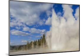 Lone Observer Watches Grand Geyser Erupt, Upper Geyser Basin, Yellowstone National Park-Eleanor Scriven-Mounted Photographic Print