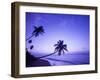 Lone Palm Trees at Sunset, Coconut Grove Beach at Cade's Bay, Nevis, Caribbean-Greg Johnston-Framed Premium Photographic Print