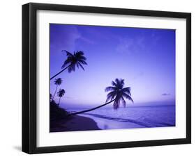 Lone Palm Trees at Sunset, Coconut Grove Beach at Cade's Bay, Nevis, Caribbean-Greg Johnston-Framed Photographic Print