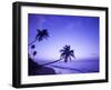 Lone Palm Trees at Sunset, Coconut Grove Beach at Cade's Bay, Nevis, Caribbean-Greg Johnston-Framed Photographic Print