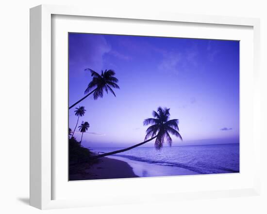 Lone Palm Trees at Sunset, Coconut Grove Beach at Cade's Bay, Nevis, Caribbean-Greg Johnston-Framed Photographic Print