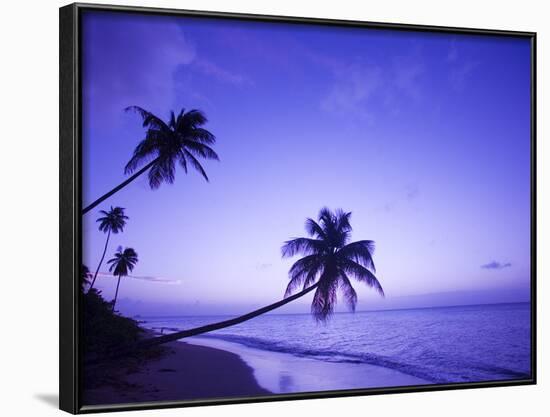 Lone Palm Trees at Sunset, Coconut Grove Beach at Cade's Bay, Nevis, Caribbean-Greg Johnston-Framed Photographic Print