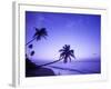 Lone Palm Trees at Sunset, Coconut Grove Beach at Cade's Bay, Nevis, Caribbean-Greg Johnston-Framed Photographic Print