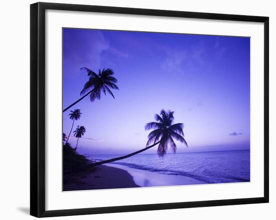 Lone Palm Trees at Sunset, Coconut Grove Beach at Cade's Bay, Nevis, Caribbean-Greg Johnston-Framed Photographic Print