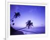 Lone Palm Trees at Sunset, Coconut Grove Beach at Cade's Bay, Nevis, Caribbean-Greg Johnston-Framed Photographic Print