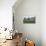 Lone Pine Farm-Bruce Dumas-Stretched Canvas displayed on a wall