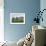 Lone Pine Farm-Bruce Dumas-Framed Giclee Print displayed on a wall