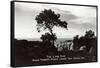 Lone Pine, Torrey Pines State Park-null-Framed Stretched Canvas