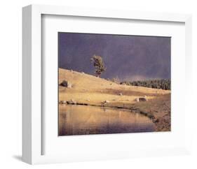 Lone Pine-Scott Peck-Framed Art Print