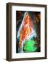 Lone Pine-Ursula Abresch-Framed Photographic Print