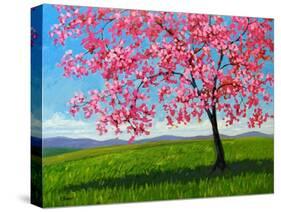 Lone Pink Blossom Tree-Patty Baker-Stretched Canvas