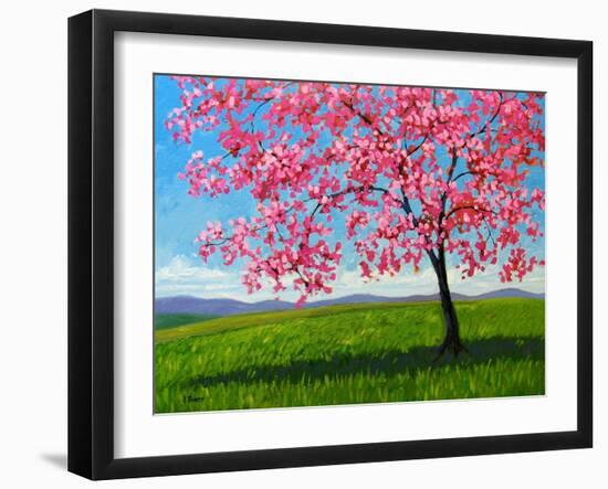 Lone Pink Blossom Tree-Patty Baker-Framed Art Print