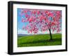 Lone Pink Blossom Tree-Patty Baker-Framed Art Print