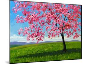 Lone Pink Blossom Tree-Patty Baker-Mounted Art Print